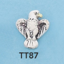 tt87.jpg